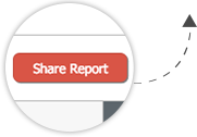 Share Business Report