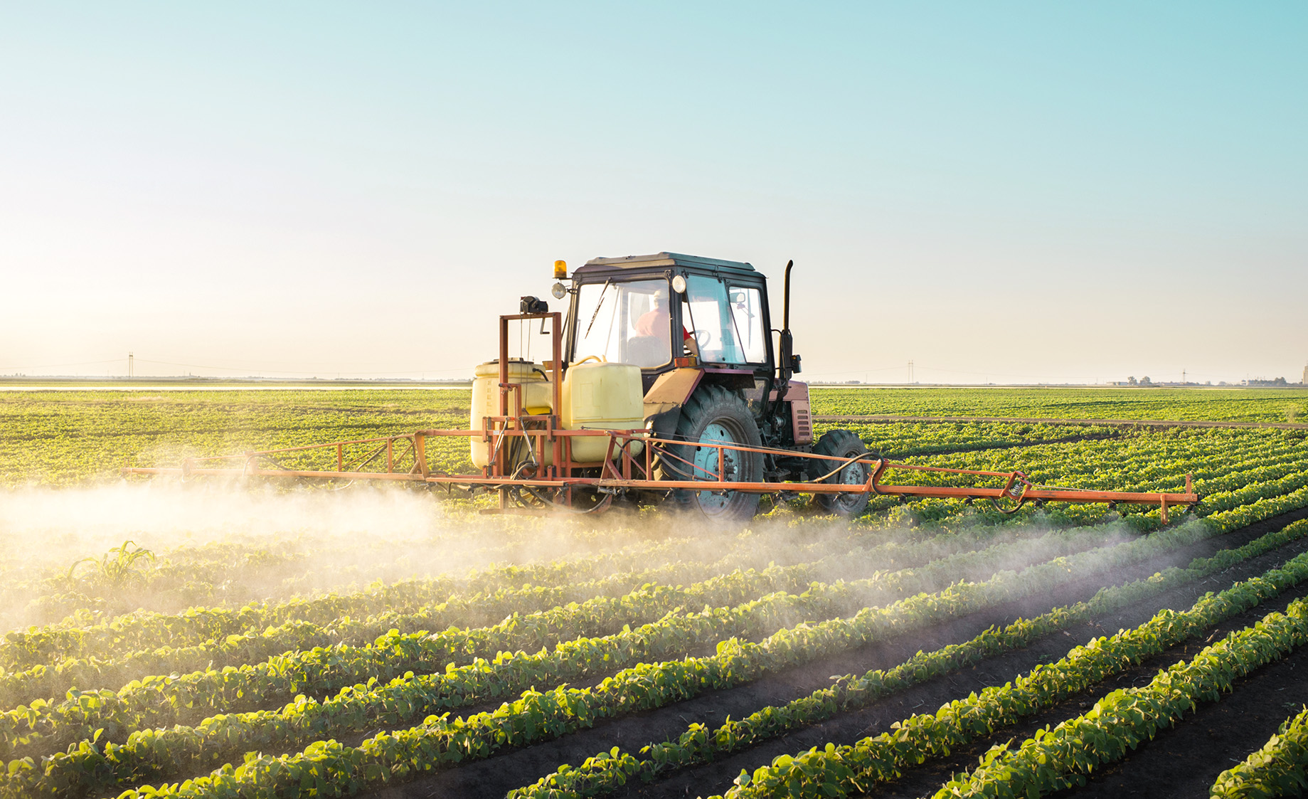 Tractor in field